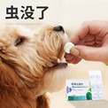 兽药进口代理报关